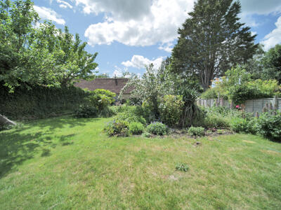 Picture 20